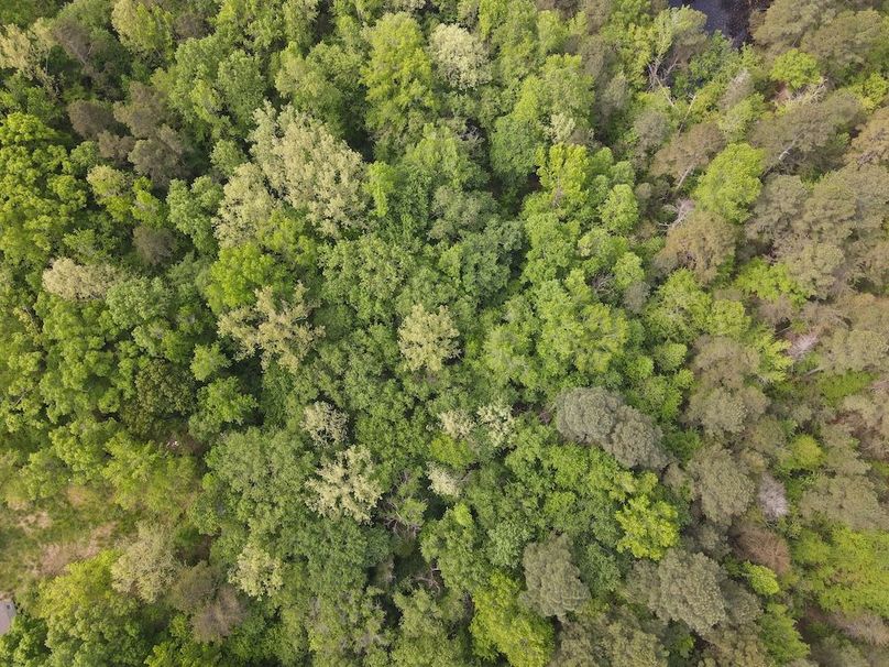 DJI_0469