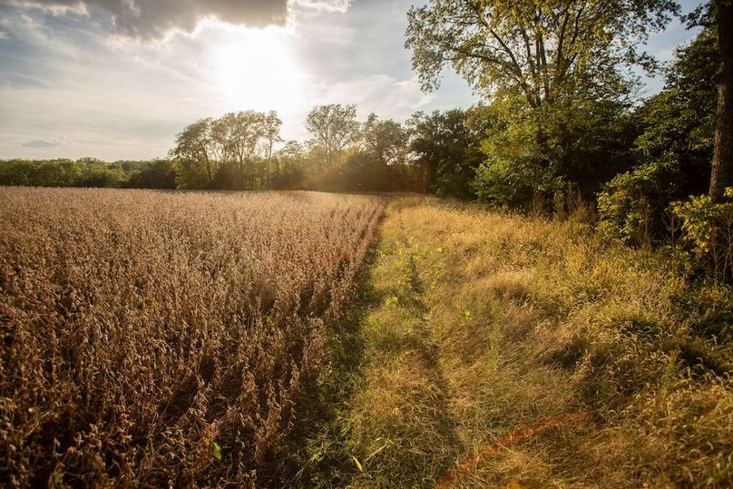 Copy of POTTAWATTAMIE CO IA 311 TRACT 3_13