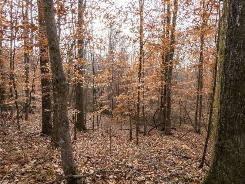 Claiborne Co - 274 - Marian-020