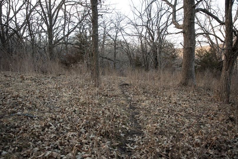 MONTGOMERY CO IA 156.78_45