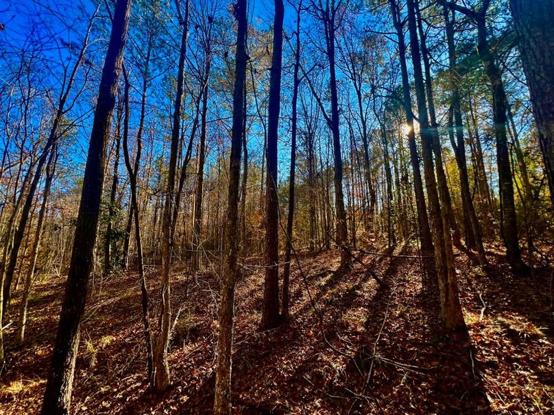 3872768B-1B84-4863-826C-71680805CA50_1_201_a