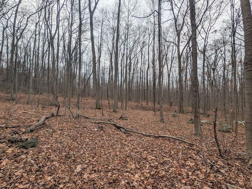 PXL_20251120_190624941