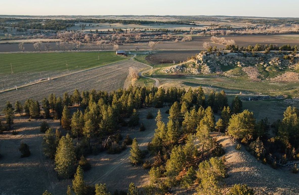 250414-DJI_0002-Enhanced-NR