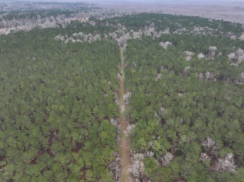 dji_fly_20260123_105310_0896_1769444796129_photo