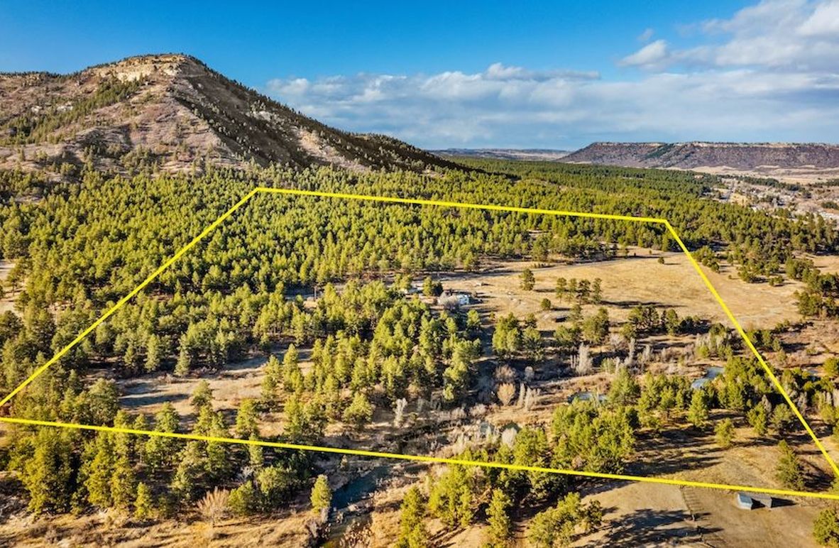 03 - APPROXIMATE PROPERTY BOUNDARY