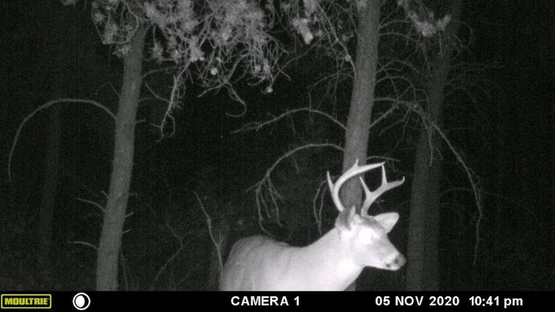 output_image1694006841110