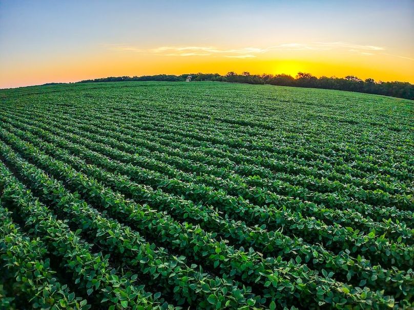 DJI_20250816065515_0710_D