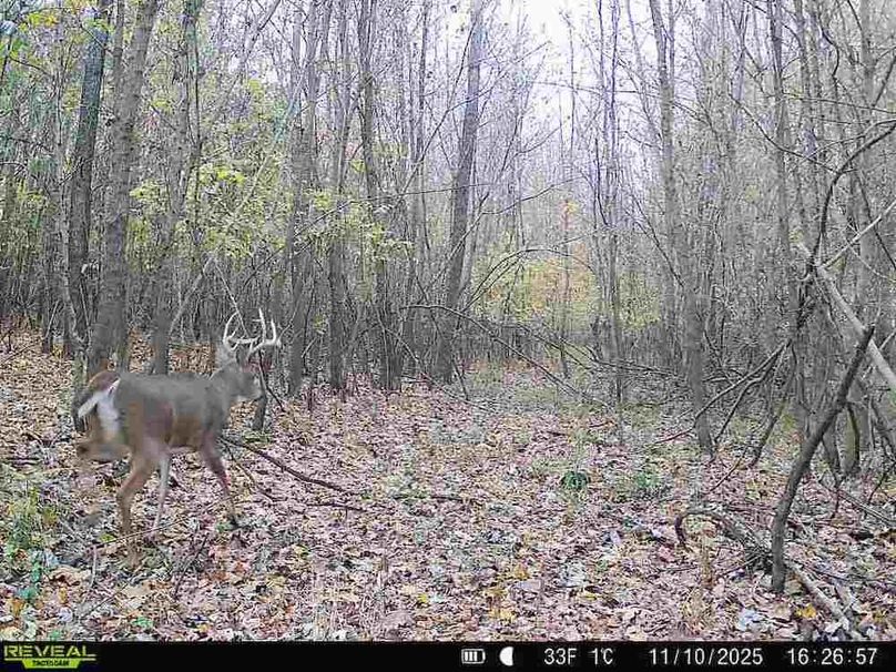 860516067504427-60-2-11102025162658-V-W1002653