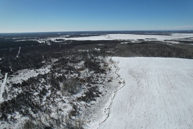 dji_fly_20260311_115128_100_1773248440590_photo (1)