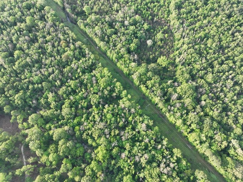 dji_fly_20260407_083226_348_1775580360153_photo