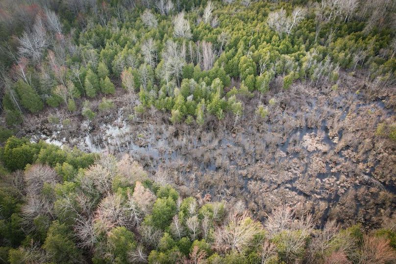 StLawrence_142.7_Bosse_Photos_75