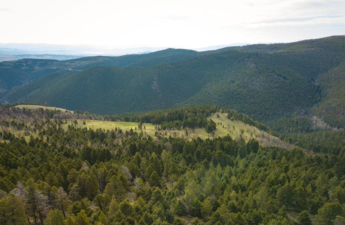 4. 20240513-DJI_0016