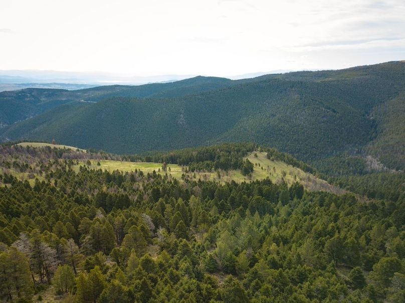 4. 20240513-DJI_0016