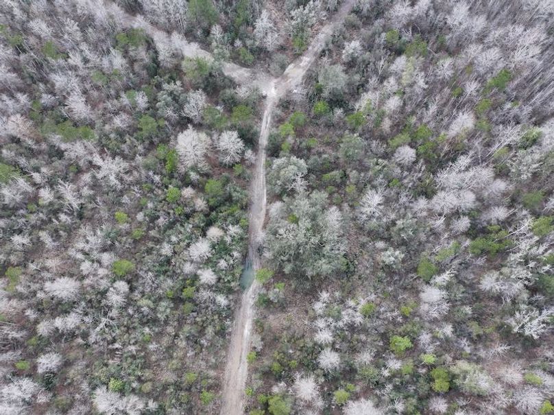 dji_fly_20260212_135706_0035_1771284251555_photo