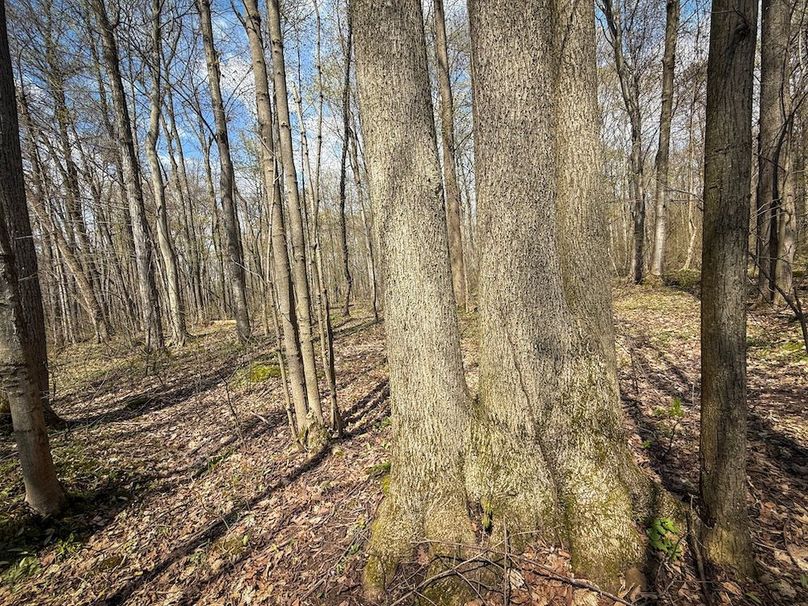 Cayuga_23.5_Demott_photos_28
