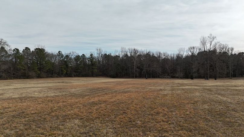 dji_fly_20260212_143908_0312_1770925834583_photo