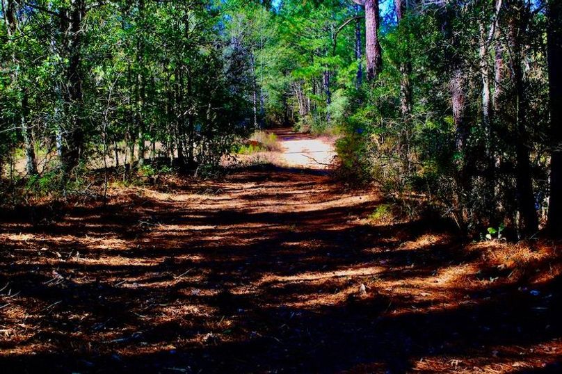 DB839112-246B-4DFA-978E-32EA8214EABD_1_105_c