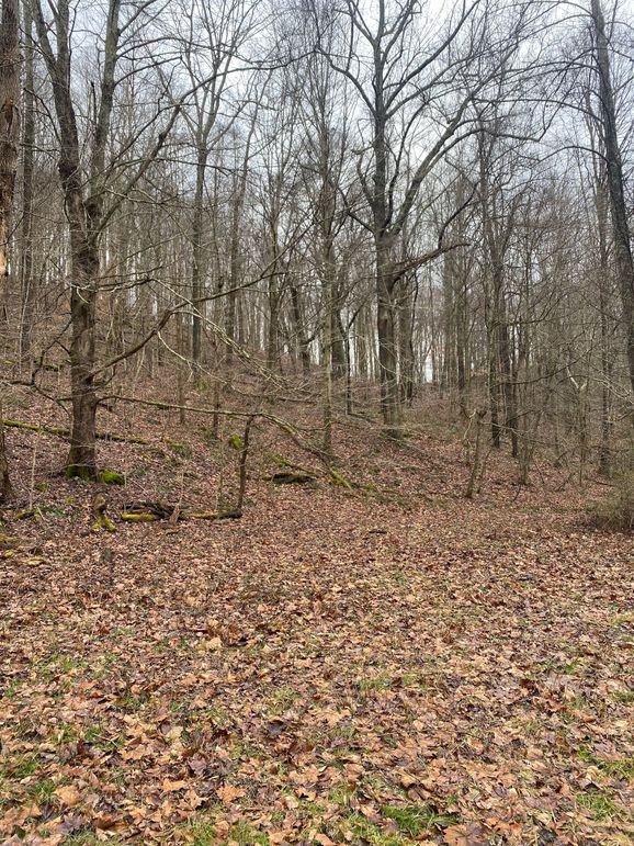 Greenup Ky Mauk 46.15 05