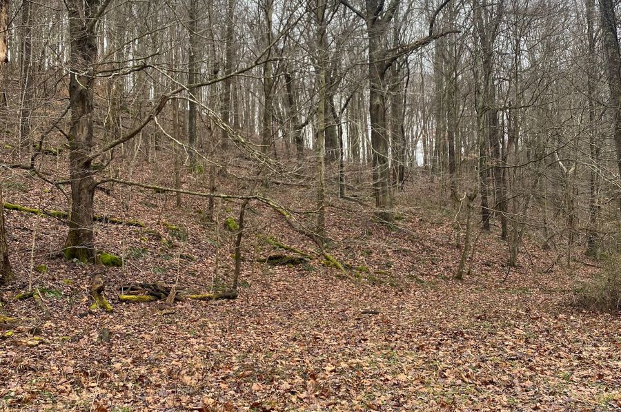 Greenup Ky Mauk 46.15 05