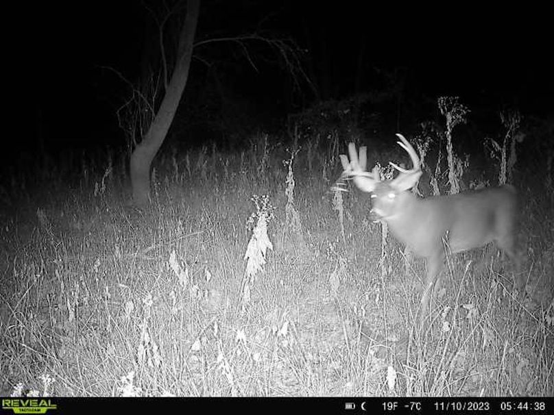 864049056683016-40-3-11102023054438-W1000203