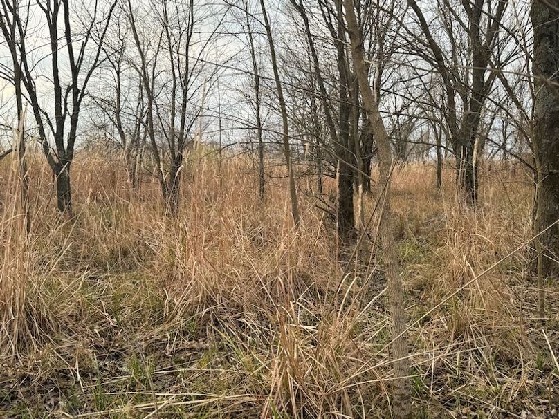 Monroe 80 Driver Dixon (Final Frontier) -24