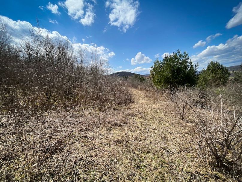 Tioga__NY_109.7_Burris_Photos_81