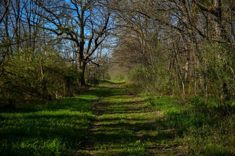 vandalia 450 (2)-2450