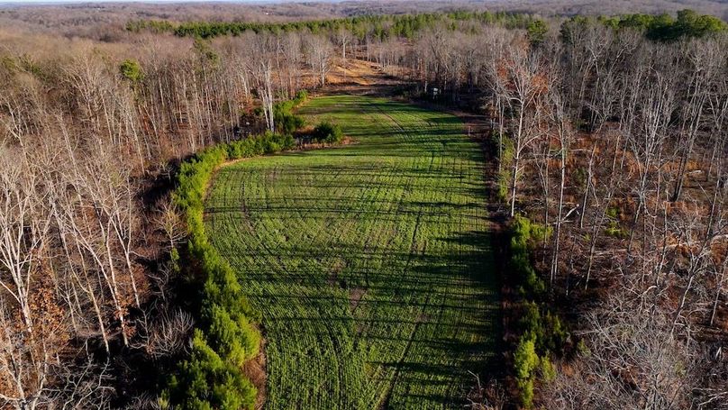 DRONE.00_05_08_15.Still015