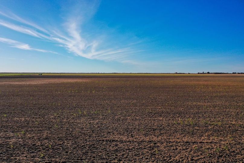 org_abbaf493f8b5ad4a_1762729680000