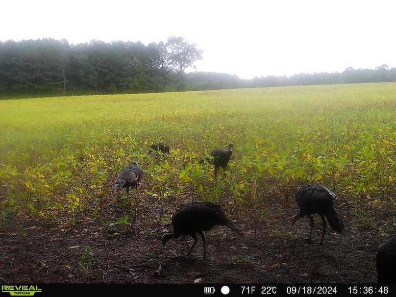 860516065810719-30-3-09182024153648-W1000181