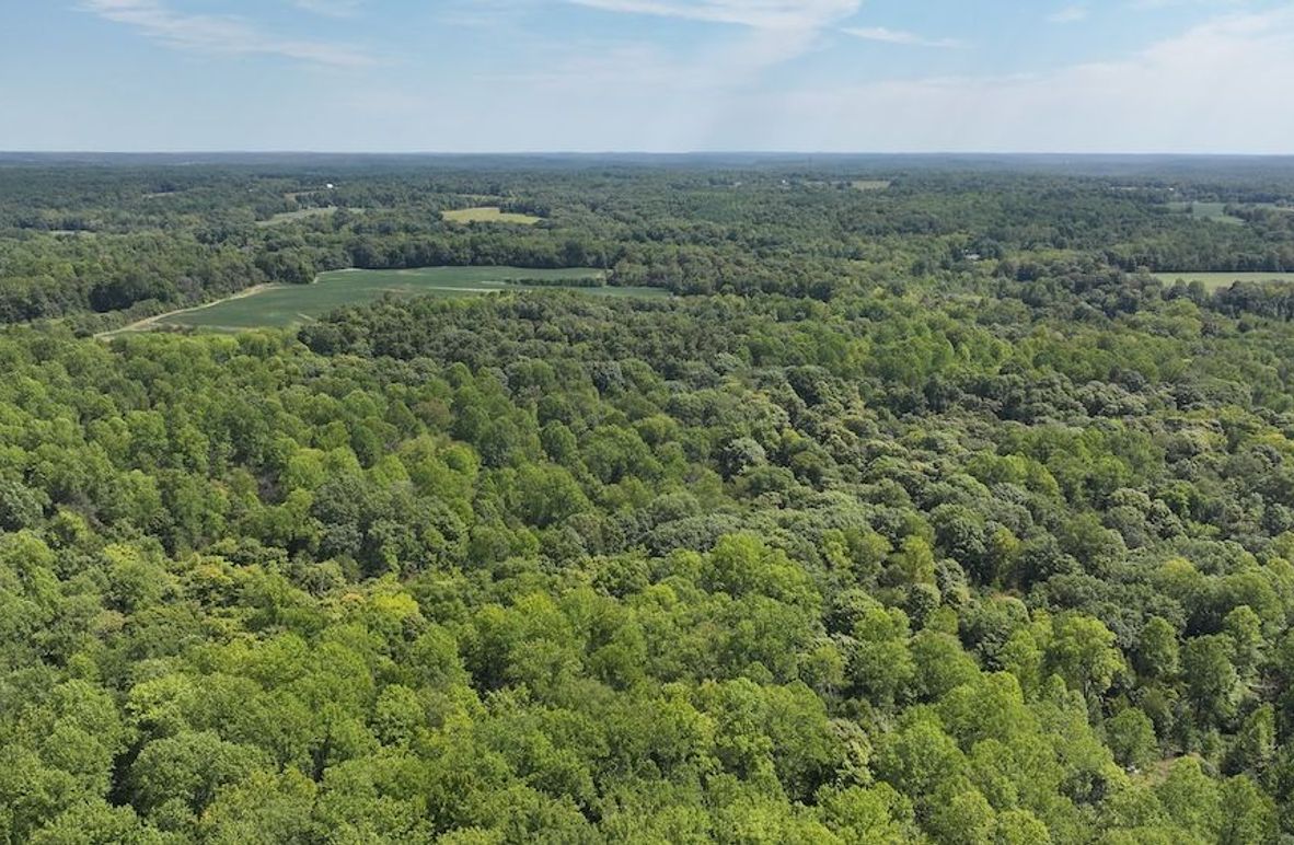 dji_fly_20240904_132758_0369_1725471196183_photo