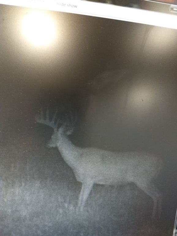 C5441D39-1982-4455-90EE-146FBA0CA9CA