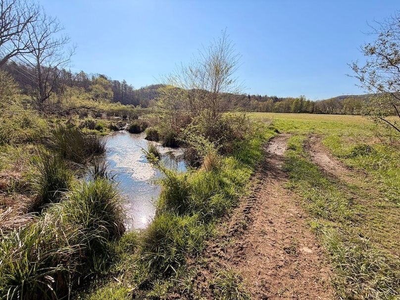 Scott Co TN 286 Keeton_033