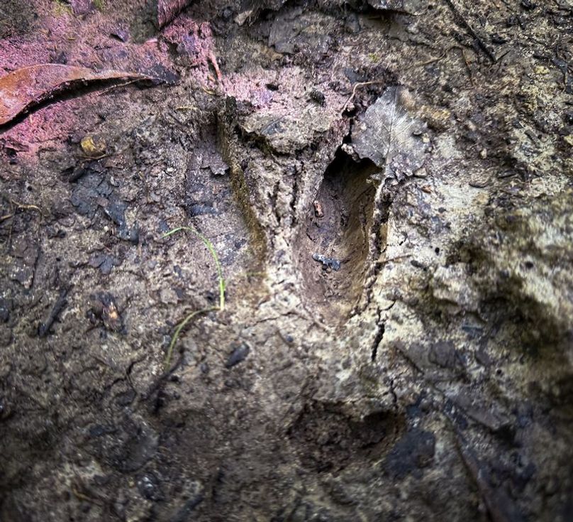 Itawamba 400 Moore-55