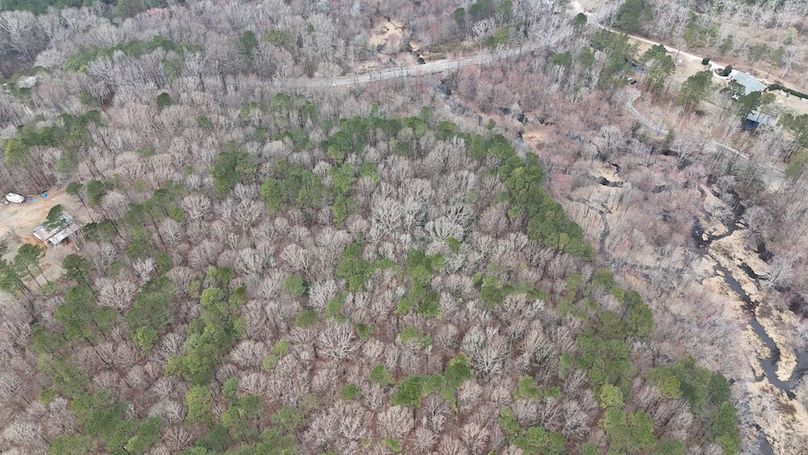 dji_fly_20260225_113312_0120_1772037653695_photo