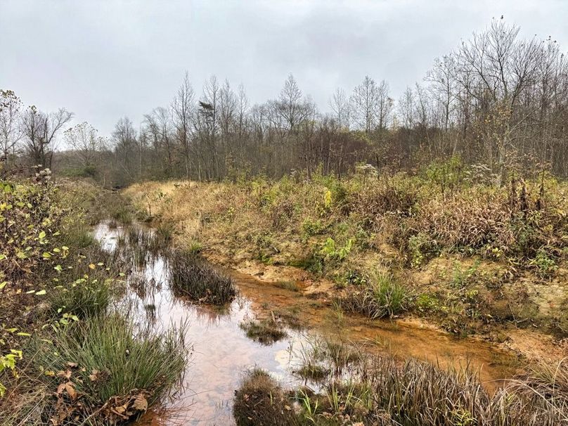 003 nice watershed of Pleasant Run-2