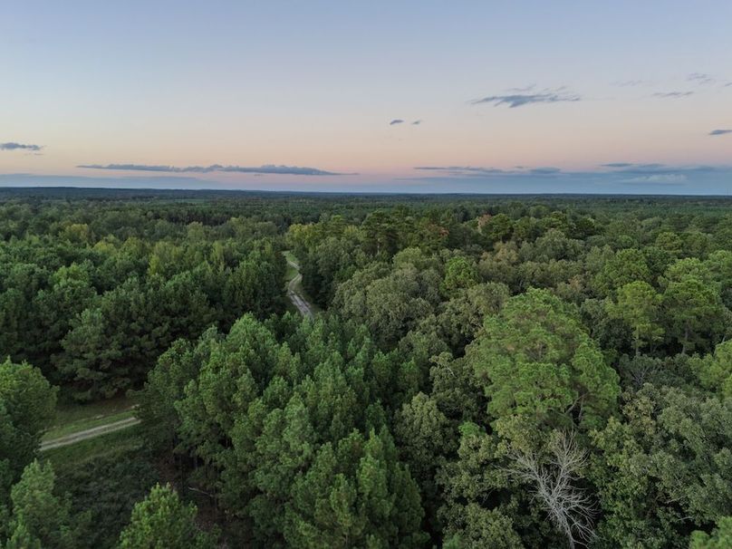 33 Edited Harison co. 206 - Ed Robb-054