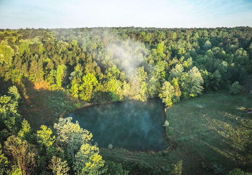 DJI_20250506064422_0127_D