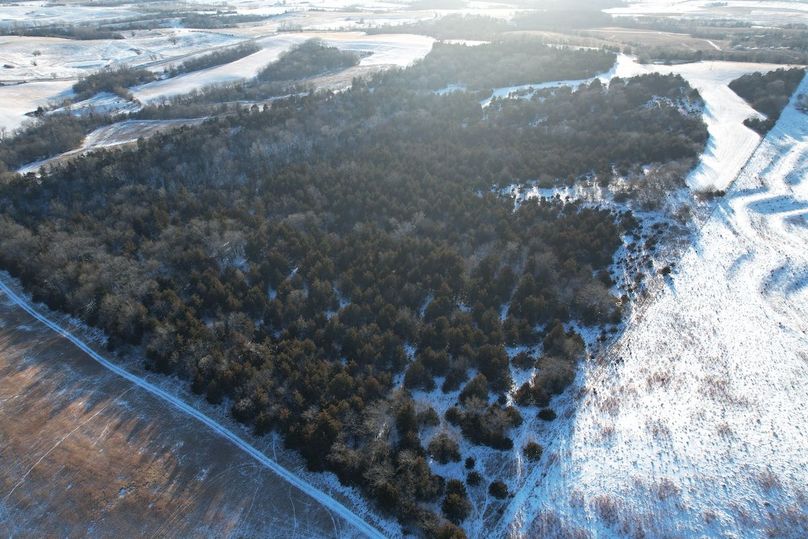 DJI_0443
