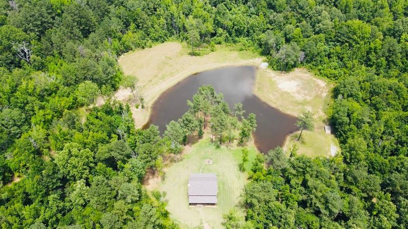 dji_fly_20250618_133400_839_1750271652787_photo