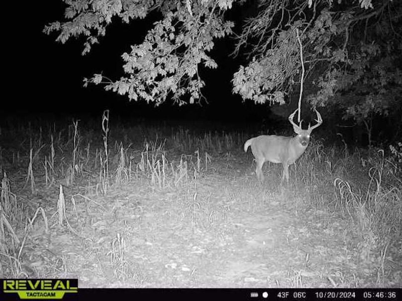 865814040945162-100-4-10202024054636-W1000806