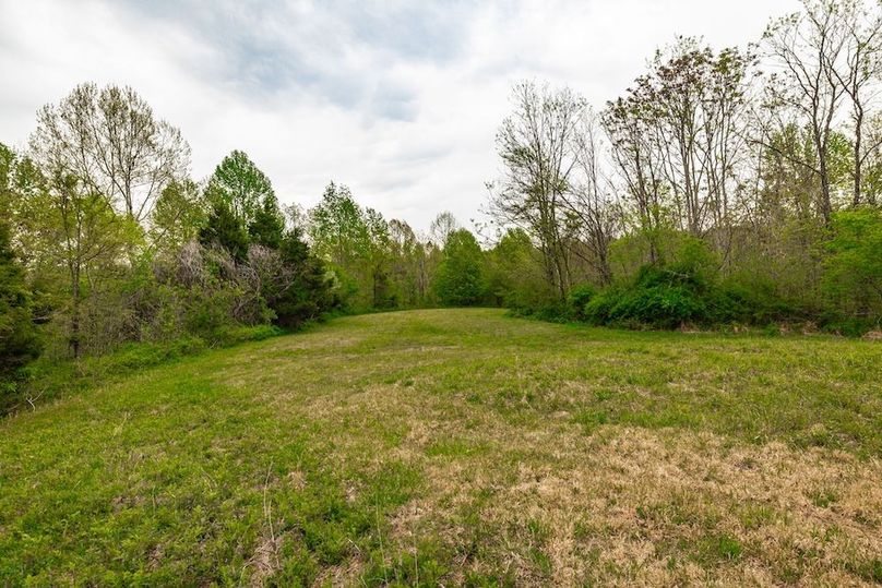67-web-or-mls-1103 Johnny Spears Rd-57