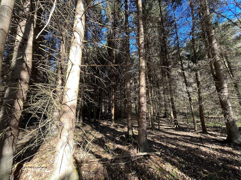 Schuyler_25.155_Ennis_Photos_6