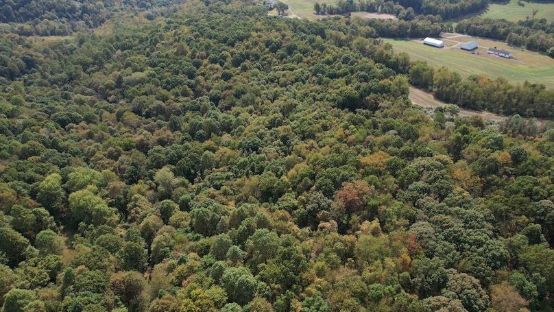 dji_fly_20250916_115126_742_1758038493478_photo