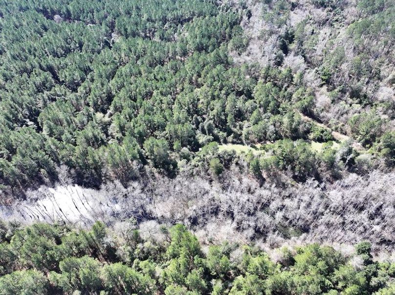 dji_fly_20260224_113336_0326_1772209049239_photo