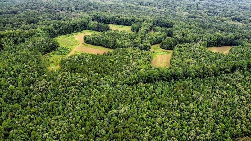 dji_fly_20250802_100826_563_1754143758793_photo_optimized