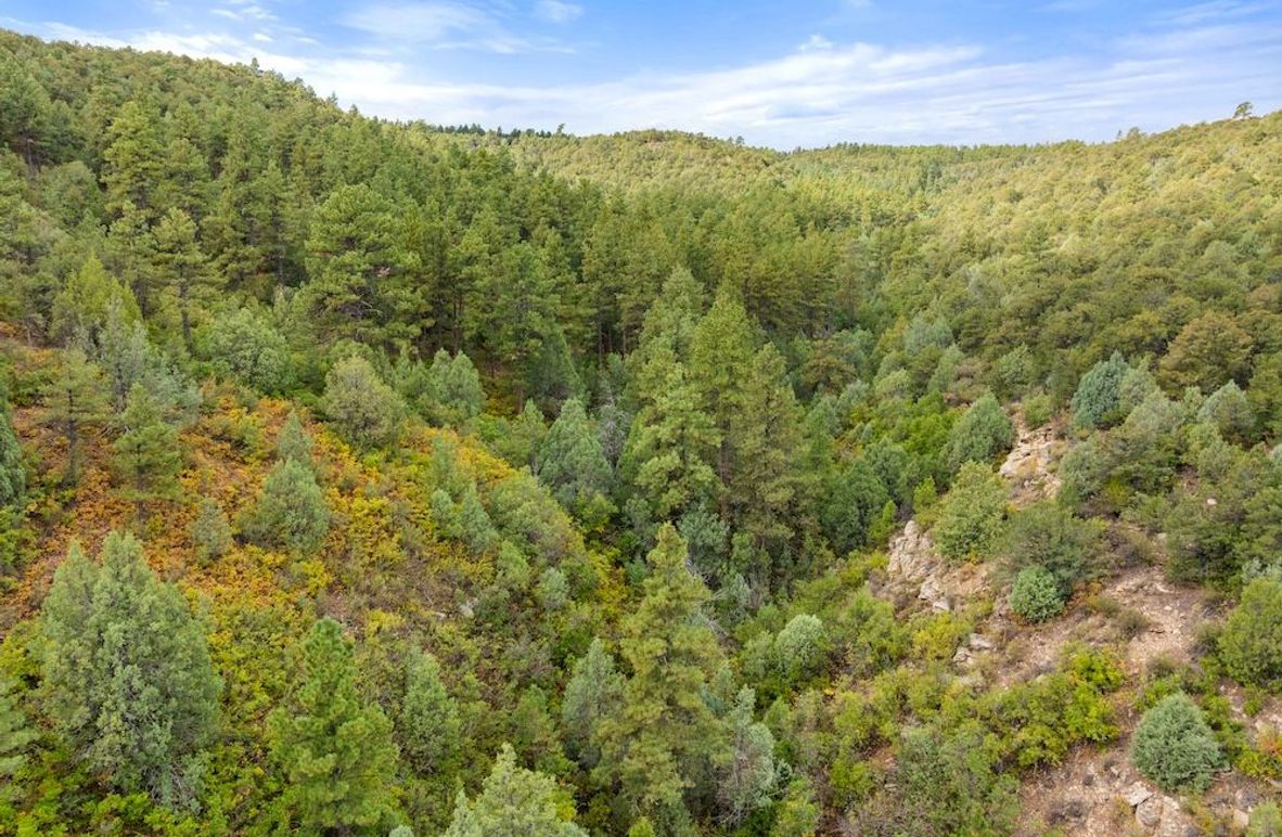 DJI_20250924102525_0013_D