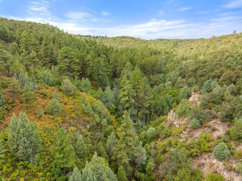 DJI_20250924102525_0013_D