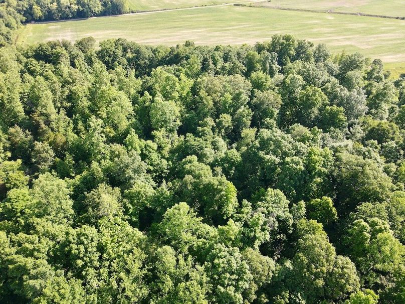 dji_fly_20260604_093916_68_1780580365175_photo
