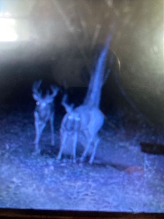 19778879-E42E-4E65-8623-FA6DC09444CA